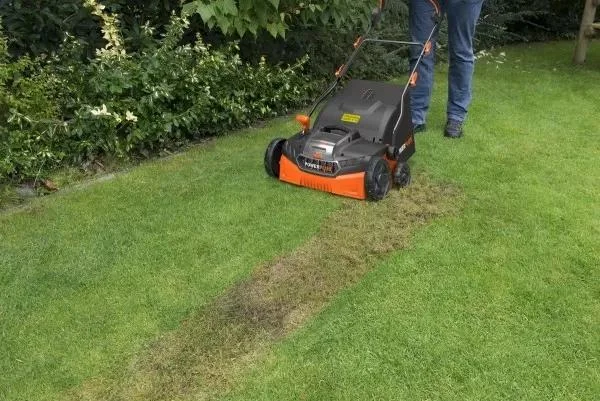 Jak vybrat vertikutátor: Kompletní průvodce výběrem a použitím