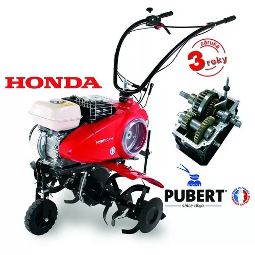 PUBERT QUATRO  JUNIOR V3 60H
