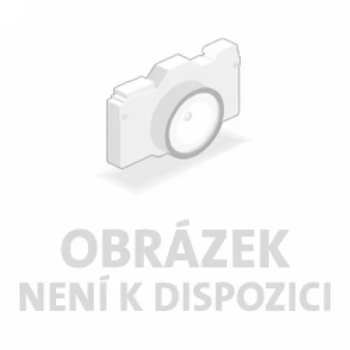 PILOVÝ PÁS 2320X12,7X0,5 MM Güde 54988