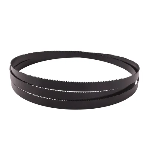 Scheppach Pilový pás ( 1490 x 10 x 0,36 mm, 14 TPI ) pro Basa 1 / Basato 1